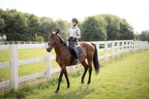 Female horseman riding brown Thoroughbred horse in summer