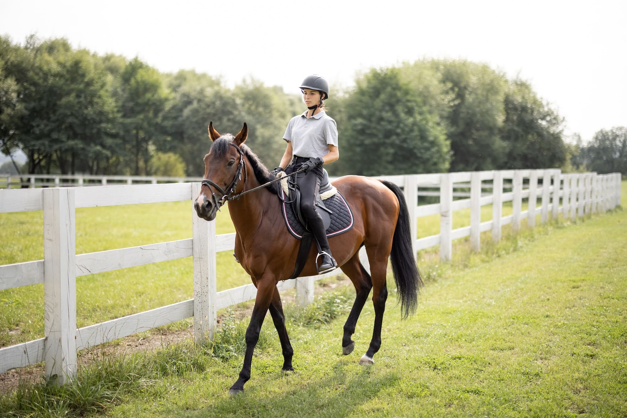Female horseman riding brown Thoroughbred horse in summer