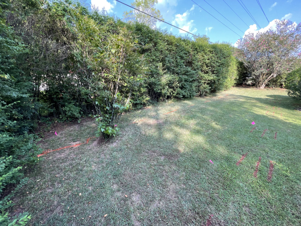 71468998451__C30D5040-6FA5-419B-83F8-AD7B497F6898.fullsizerender