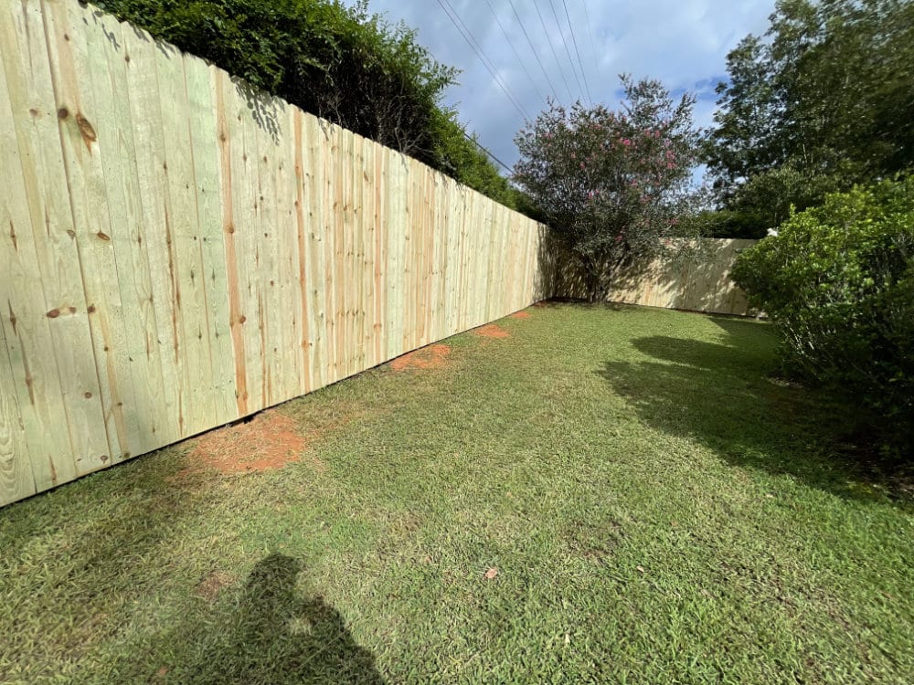 71511991184__59508E3F-8B76-4B74-BB19-6519E5376390.fullsizerender